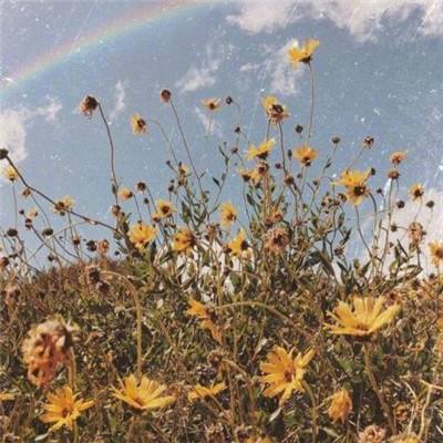 开云·体育(kaiyun)手机app下载