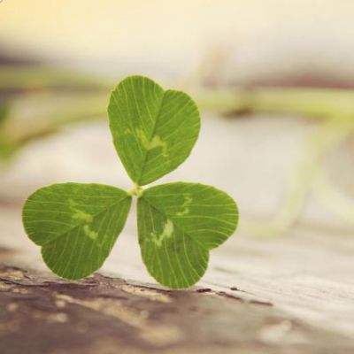 金沙官方版下载